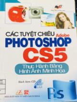 Các tuyệt chiêu Adobe Photoshop CS5: Thực hình bằng hình ảnh minh họa / VL.COMP