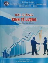 Bài giảng kinh tế lượng / Trần Kim Thanh